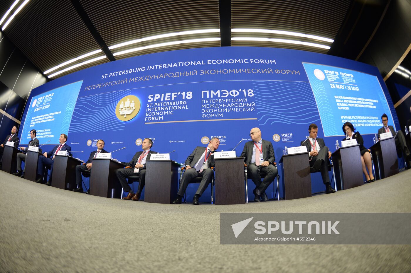 St. Petersburg International Economic Forum. Day three