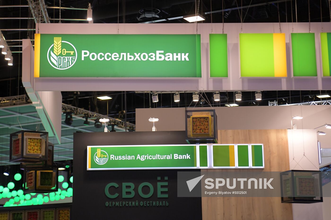St. Petersburg International Economic Forum. Day three