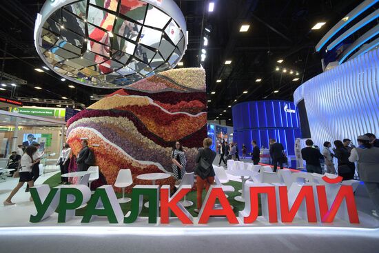 St. Petersburg International Economic Forum. Day three