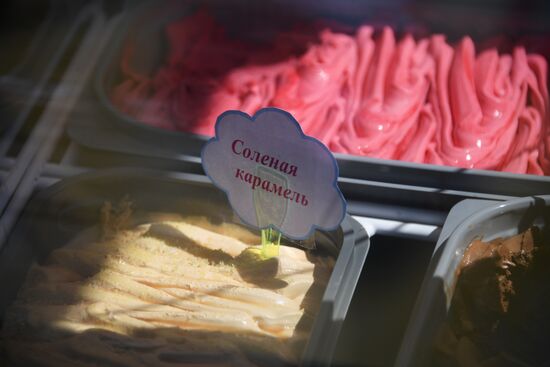 Ice-cream festival in Sokolniki Park