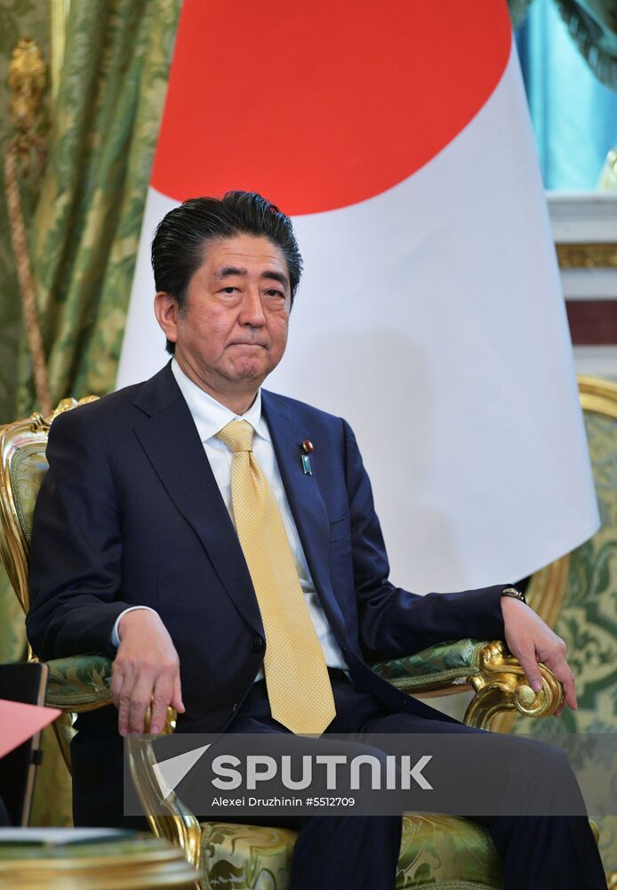 Vladimir Putin holds talks with Japanese Prime Minister Shinzo Abe