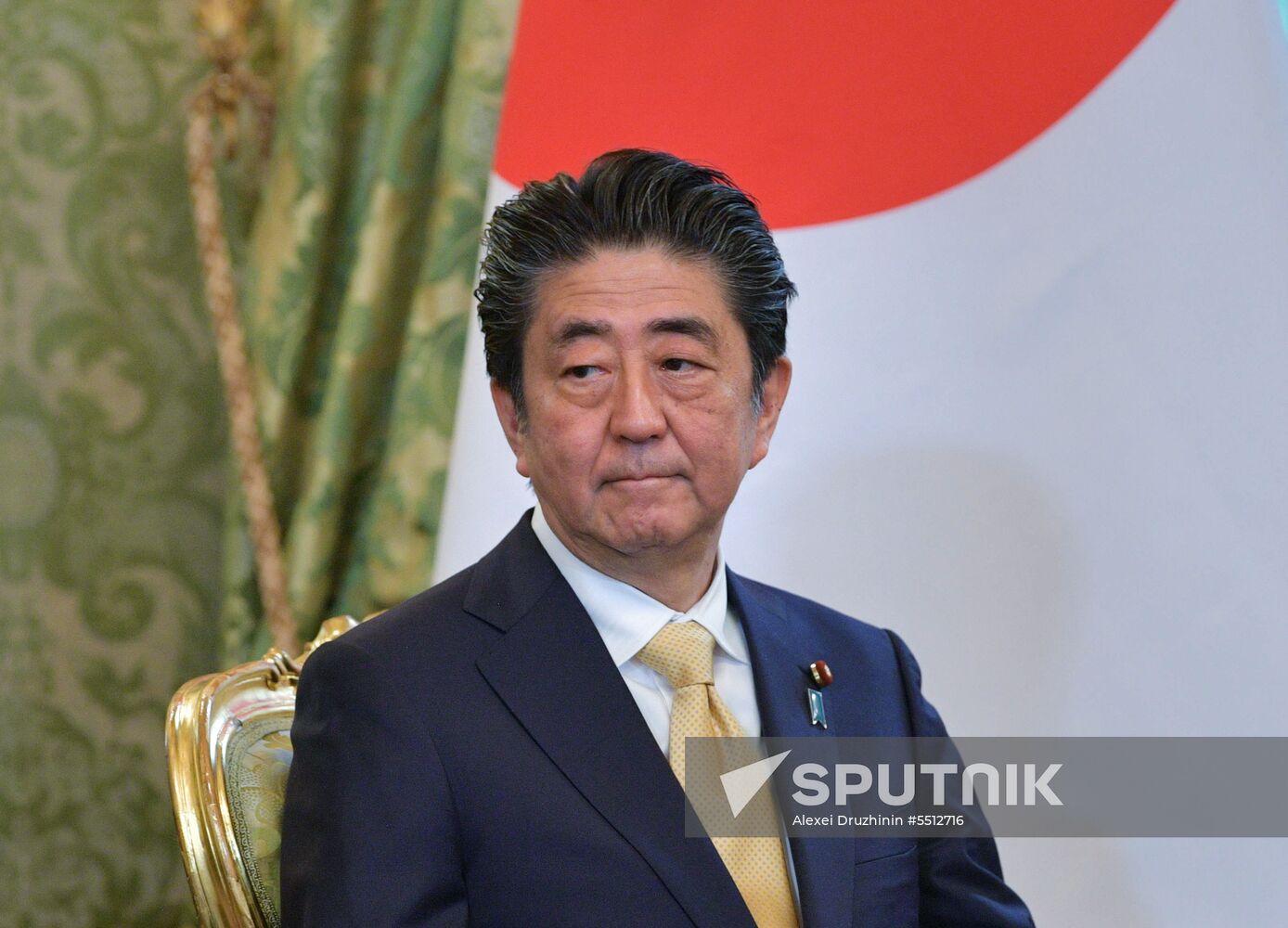 Vladimir Putin holds talks with Japanese Prime Minister Shinzo Abe