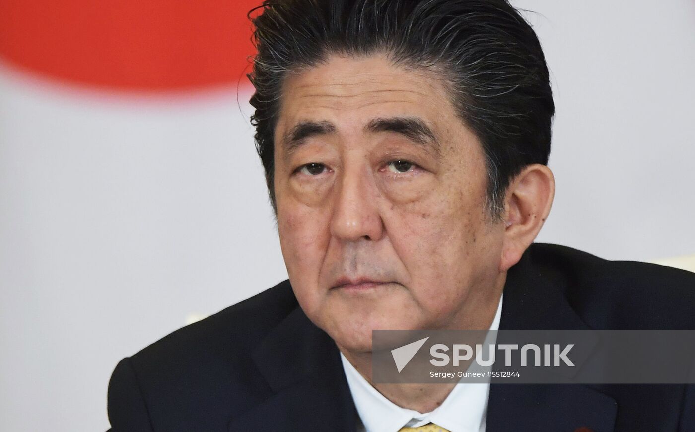 Vladimir Putin holds talks with Japanese Prime Minister Shinzo Abe