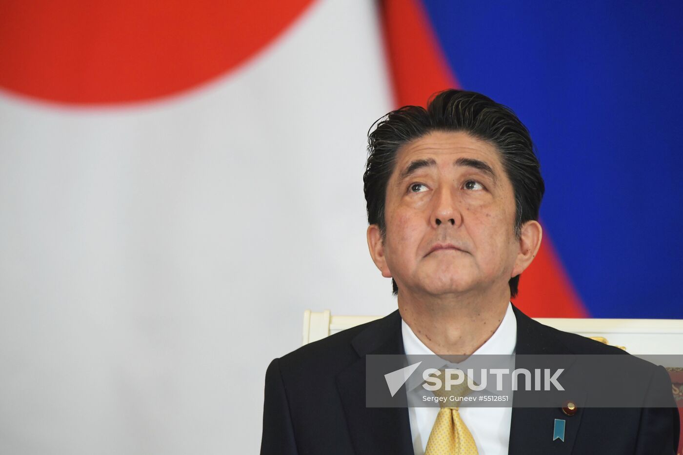 Vladimir Putin holds talks with Japanese Prime Minister Shinzo Abe