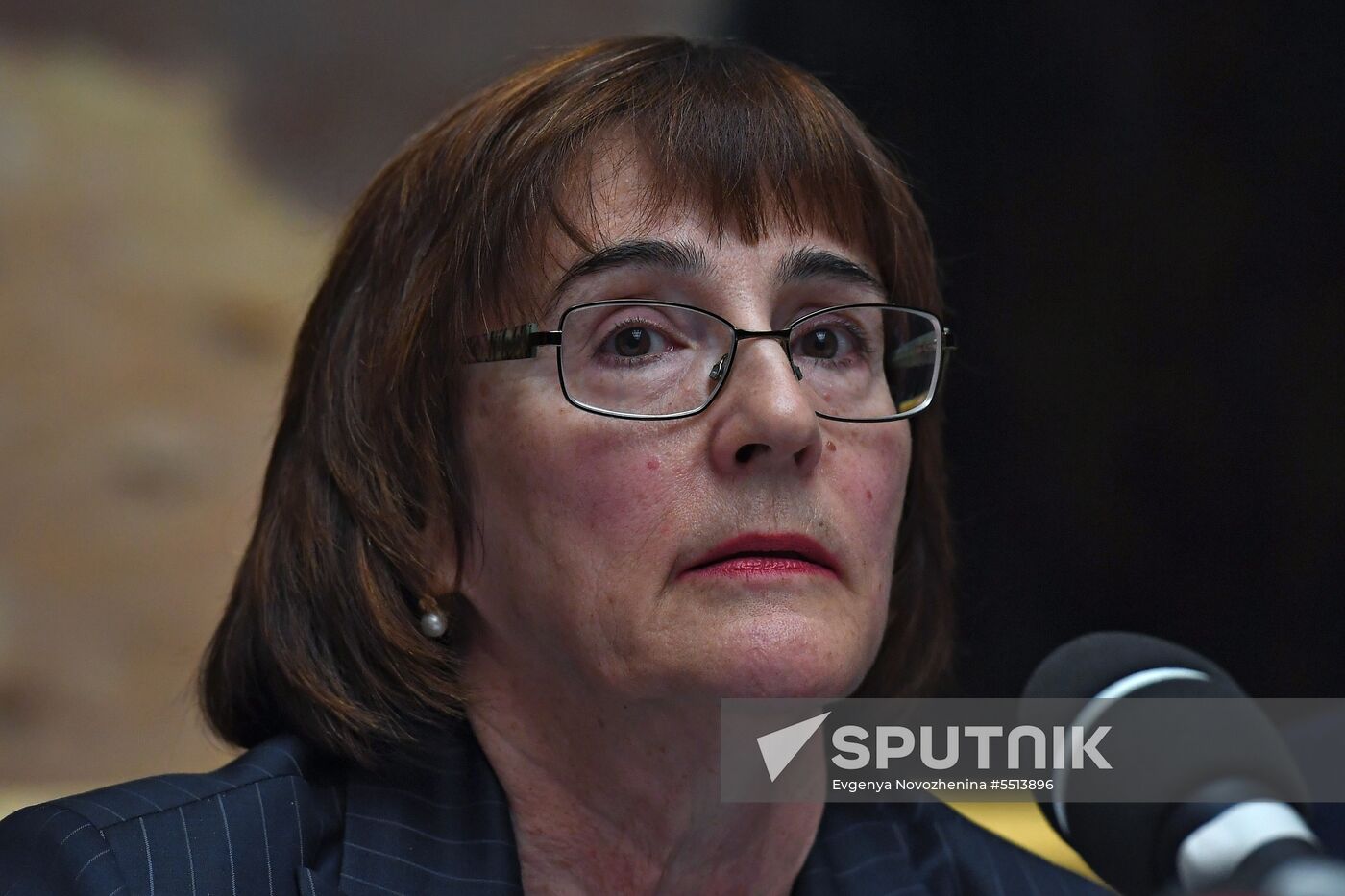 Briefing on damage to Ilya Repin's  painting in Tretyakov Gallery in Moscow.