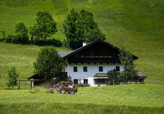 Lawn mowing in Neustift