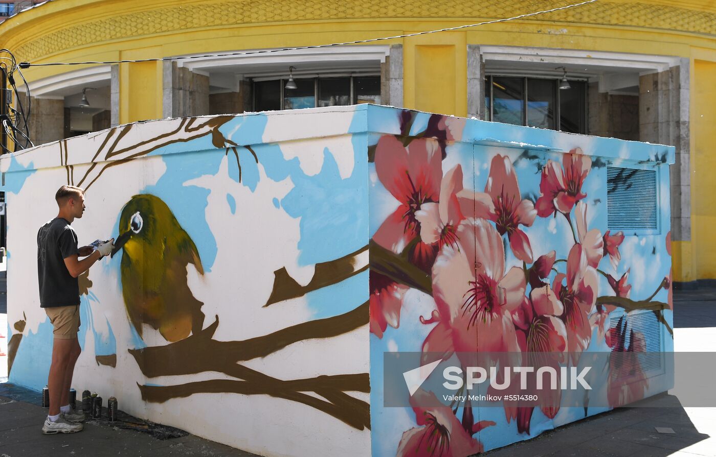 Graffiti on transformer substations in Moscow