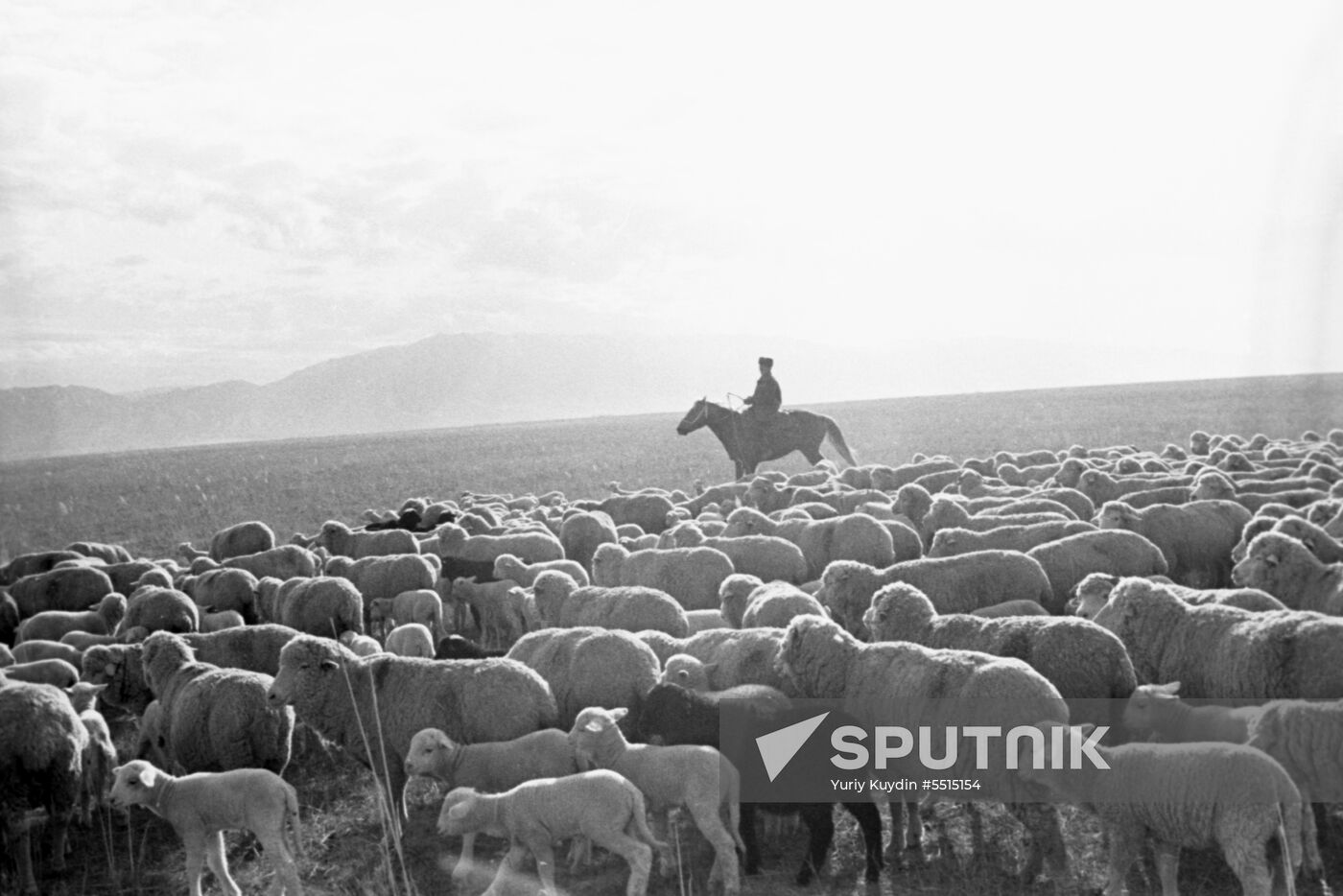 Shepherd of Beriktas state farm Dadesh Amerkulov in pasture