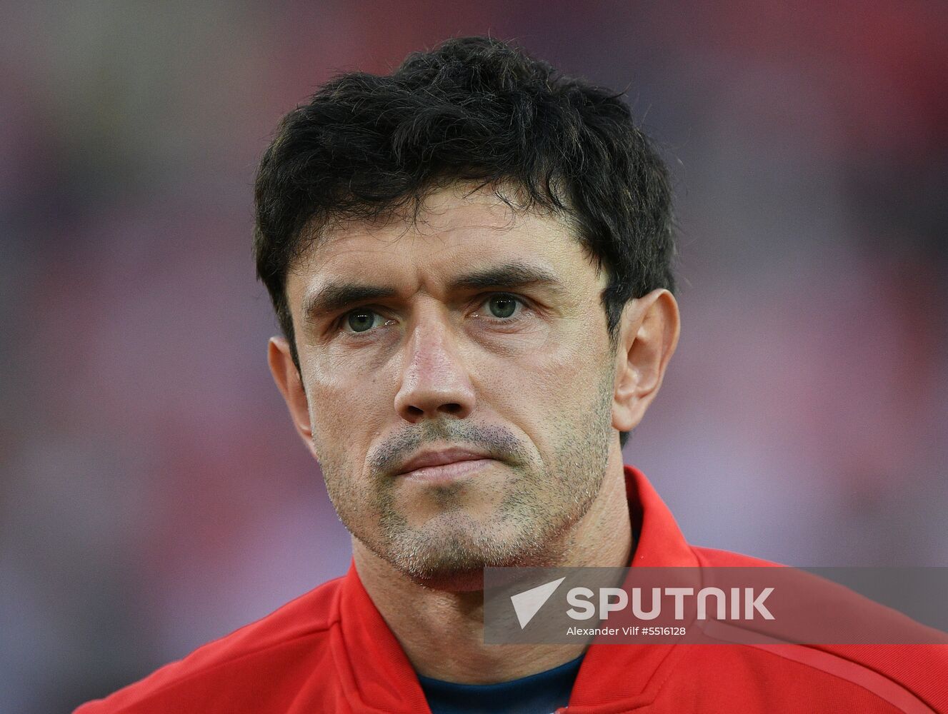Austria Russia Soccer