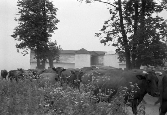 Lachplesis Latvian kolkhoz