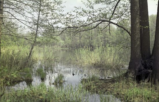 Voronezh state preserve