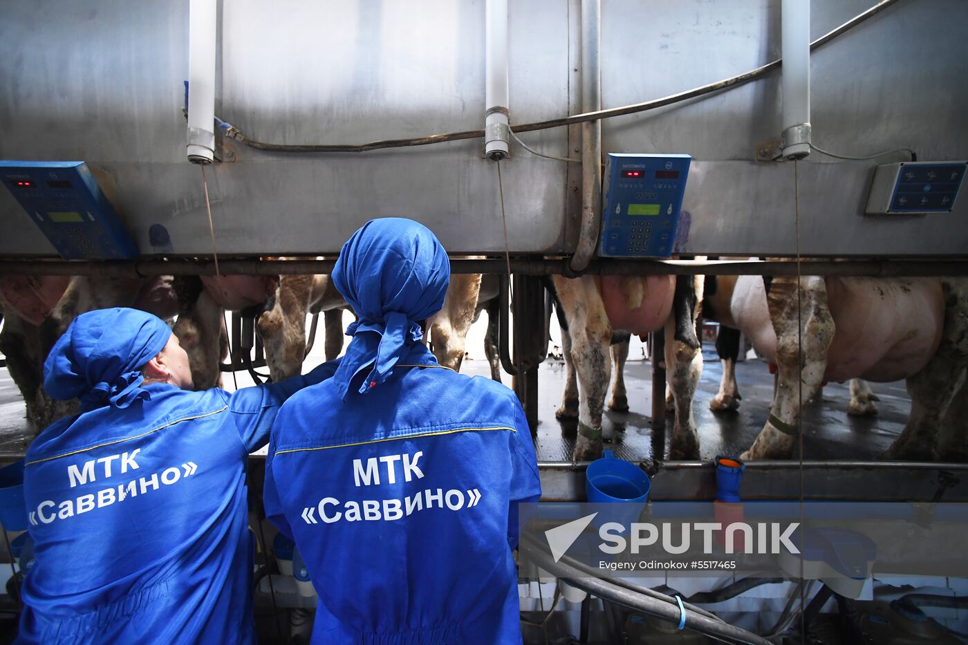 New dairy brand "Semeynoye Delo", by Cheburashkin Brothers, launched in Moscow Region