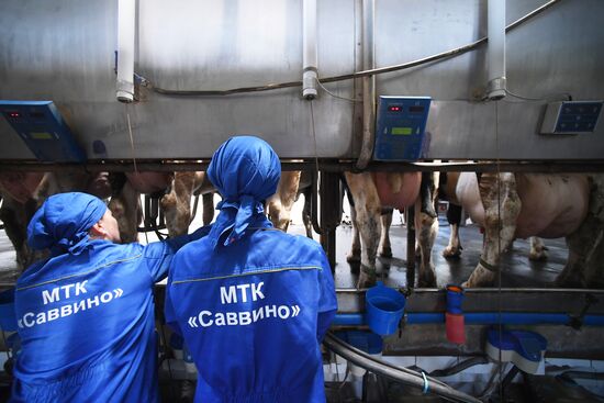 New dairy brand "Semeynoye Delo", by Cheburashkin Brothers, launched in Moscow Region