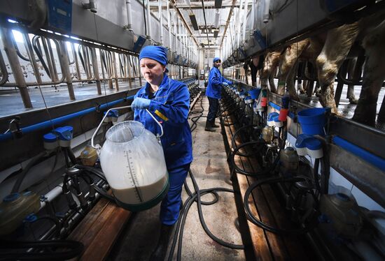 New dairy brand "Semeynoye Delo", by Cheburashkin Brothers, launched in Moscow Region
