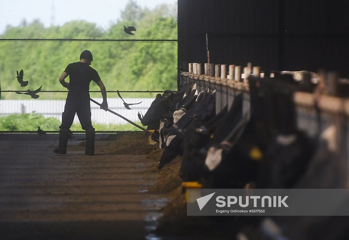 New dairy brand "Semeynoye Delo", by Cheburashkin Brothers, launched in Moscow Region