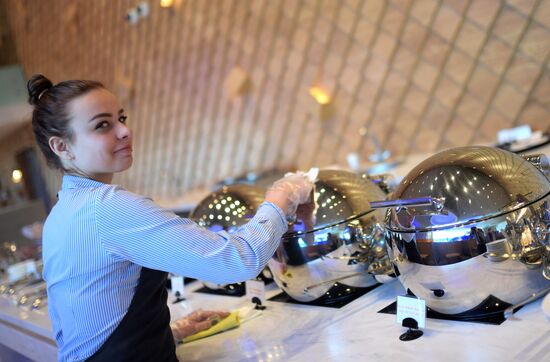 New Passenger Terminal B at Sheremetyevo International Airport