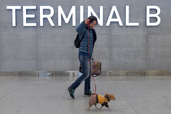 Moscow Sheremetyevo Terminal B 