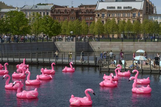Beach with inflatable pink flamingos opens on St. Petersburg's New Holland Island