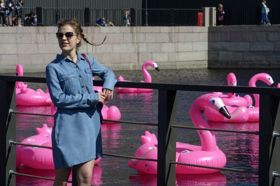 Beach with inflatable pink flamingos opens on St. Petersburg's New Holland Island