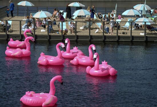 Beach with inflatable pink flamingos opens on St. Petersburg's New Holland Island