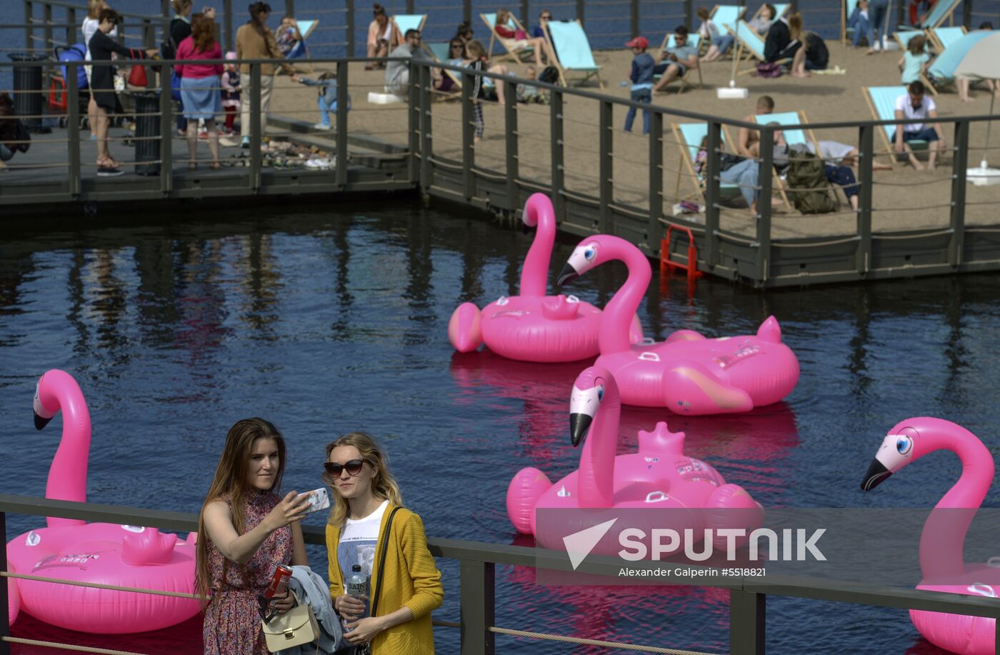 Beach with inflatable pink flamingos opens on St. Petersburg's New Holland Island