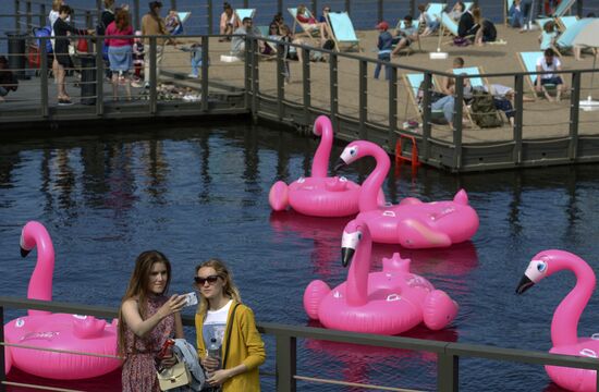 Beach with inflatable pink flamingos opens on St. Petersburg's New Holland Island