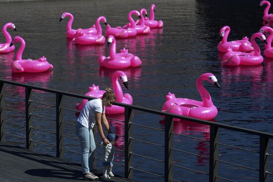 Beach with inflatable pink flamingos opens on St. Petersburg's New Holland Island