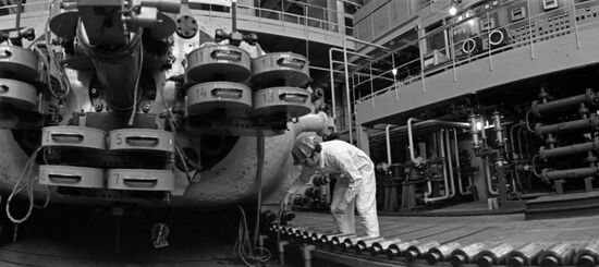 Institute for High Energy Physics