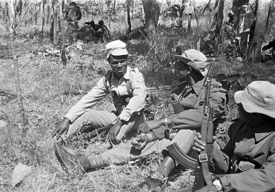 Mozambican War of Independence