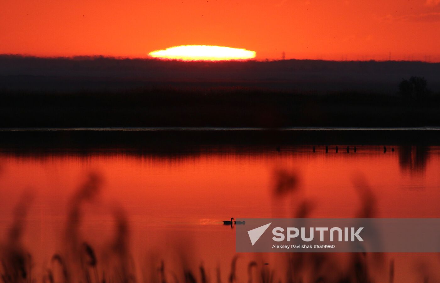 Vacation in Yevpatoria