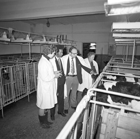 Leninsky Put collective farm in Ryazan region