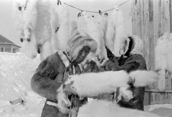 Delivery of fur at receiving point