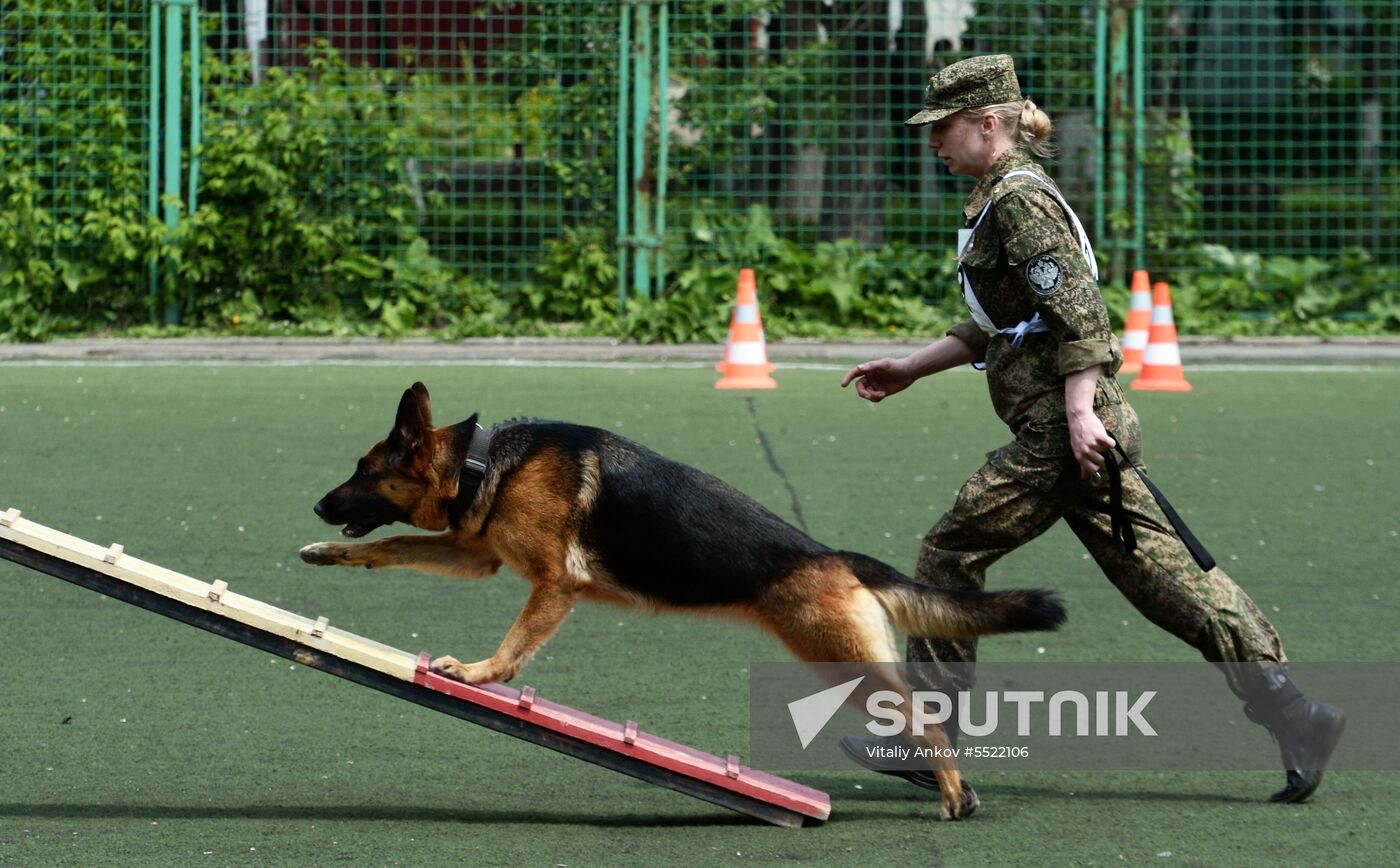 Dog handler competition in Vladivostok