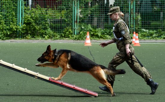 Dog handler competition in Vladivostok