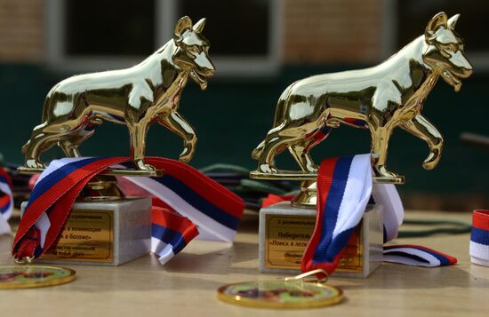 Dog handler competition in Vladivostok