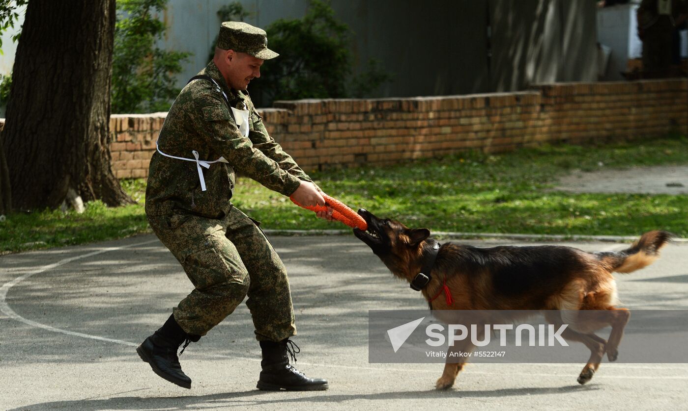 Dog handler competition in Vladivostok