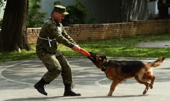 Dog handler competition in Vladivostok