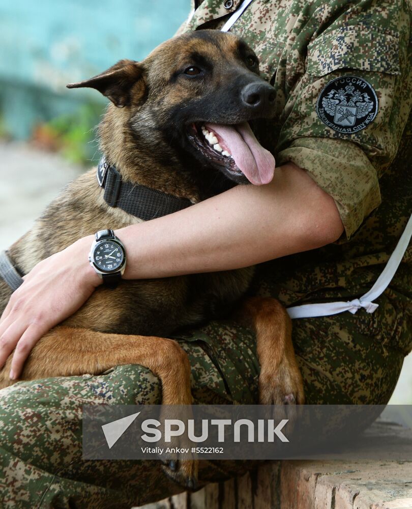 Dog handler competition in Vladivostok