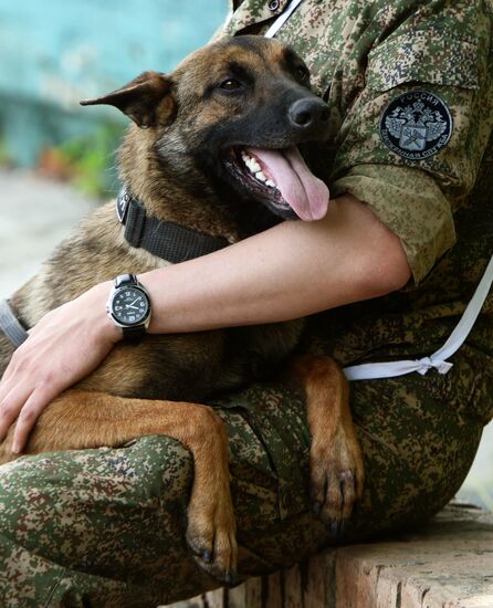 Dog handler competition in Vladivostok