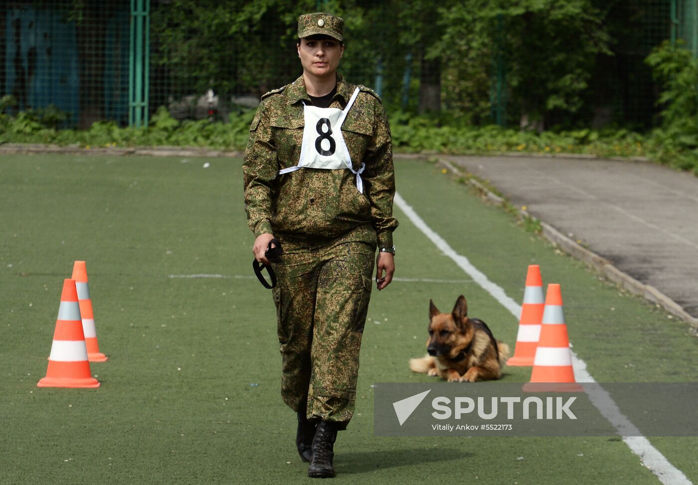 Dog handler competition in Vladivostok