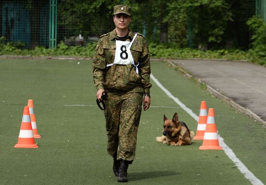 Dog handler competition in Vladivostok