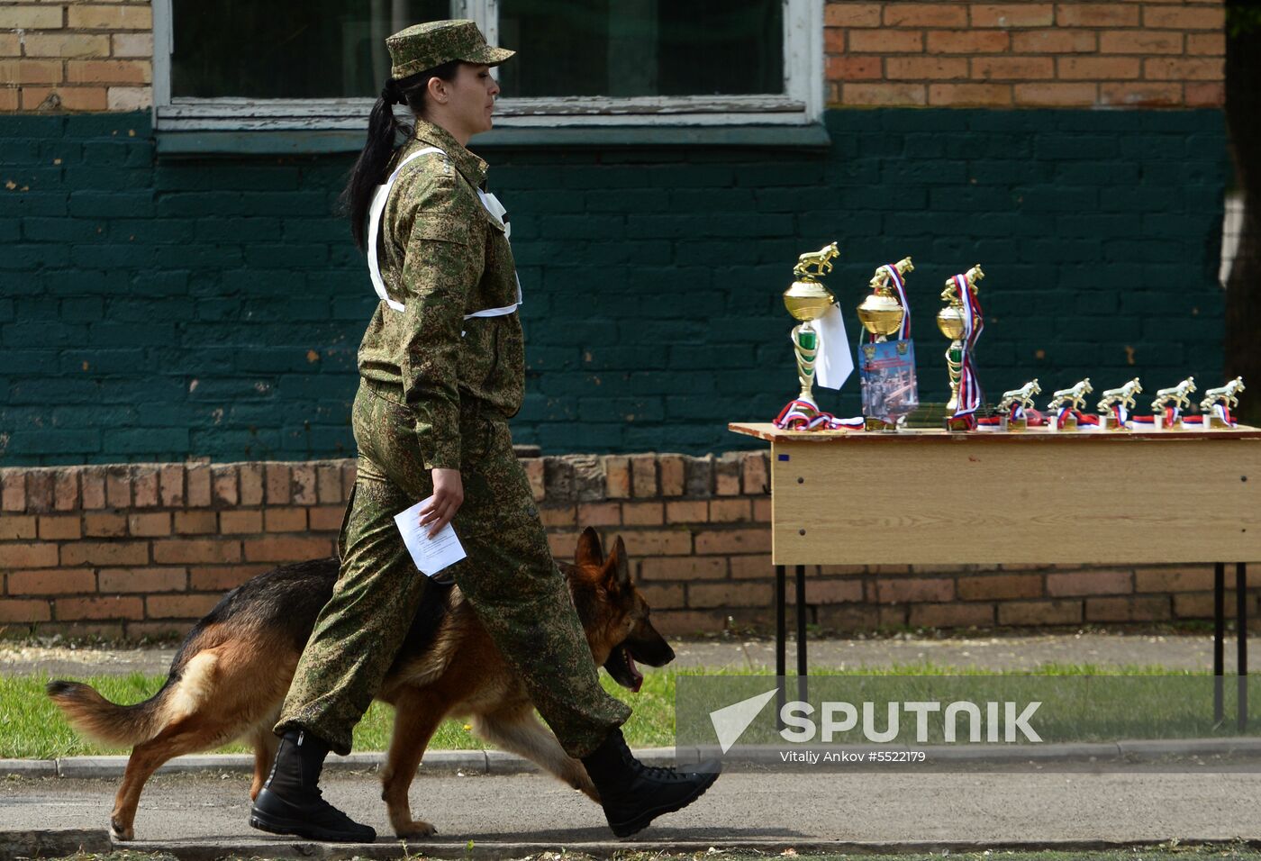 Dog handler competition in Vladivostok