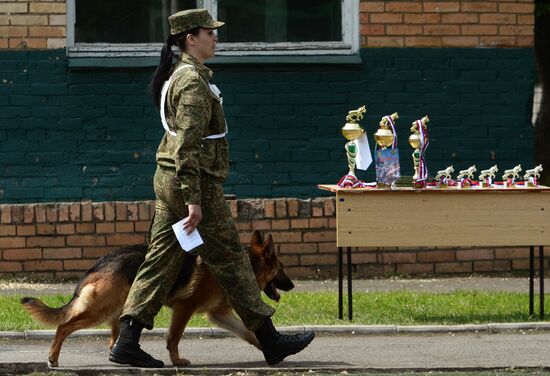 Dog handler competition in Vladivostok