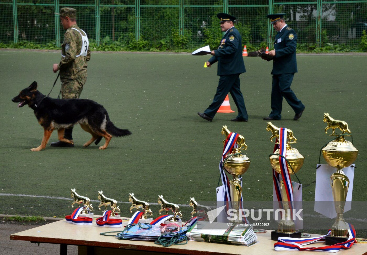 Dog handler competition in Vladivostok