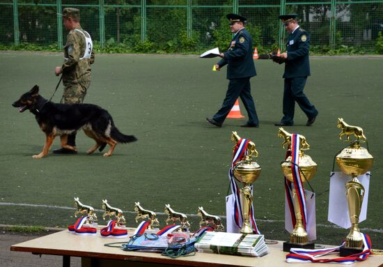 Dog handler competition in Vladivostok