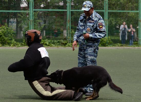 Dog handler competition in Vladivostok