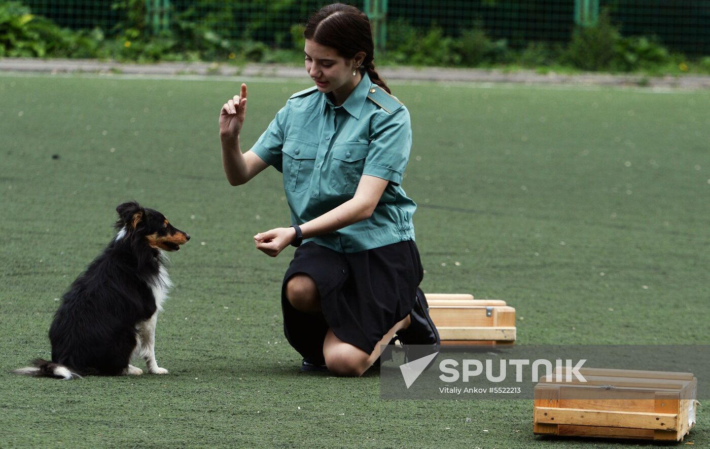 Dog handler competition in Vladivostok