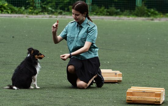 Dog handler competition in Vladivostok