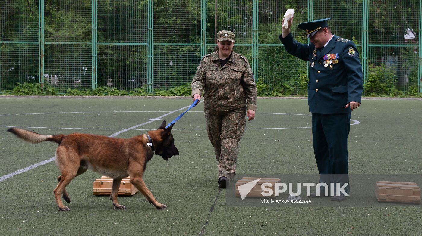 Dog handler competition in Vladivostok