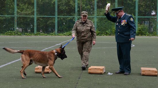 Dog handler competition in Vladivostok